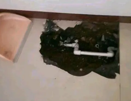 曲水卫生间测漏水多少钱